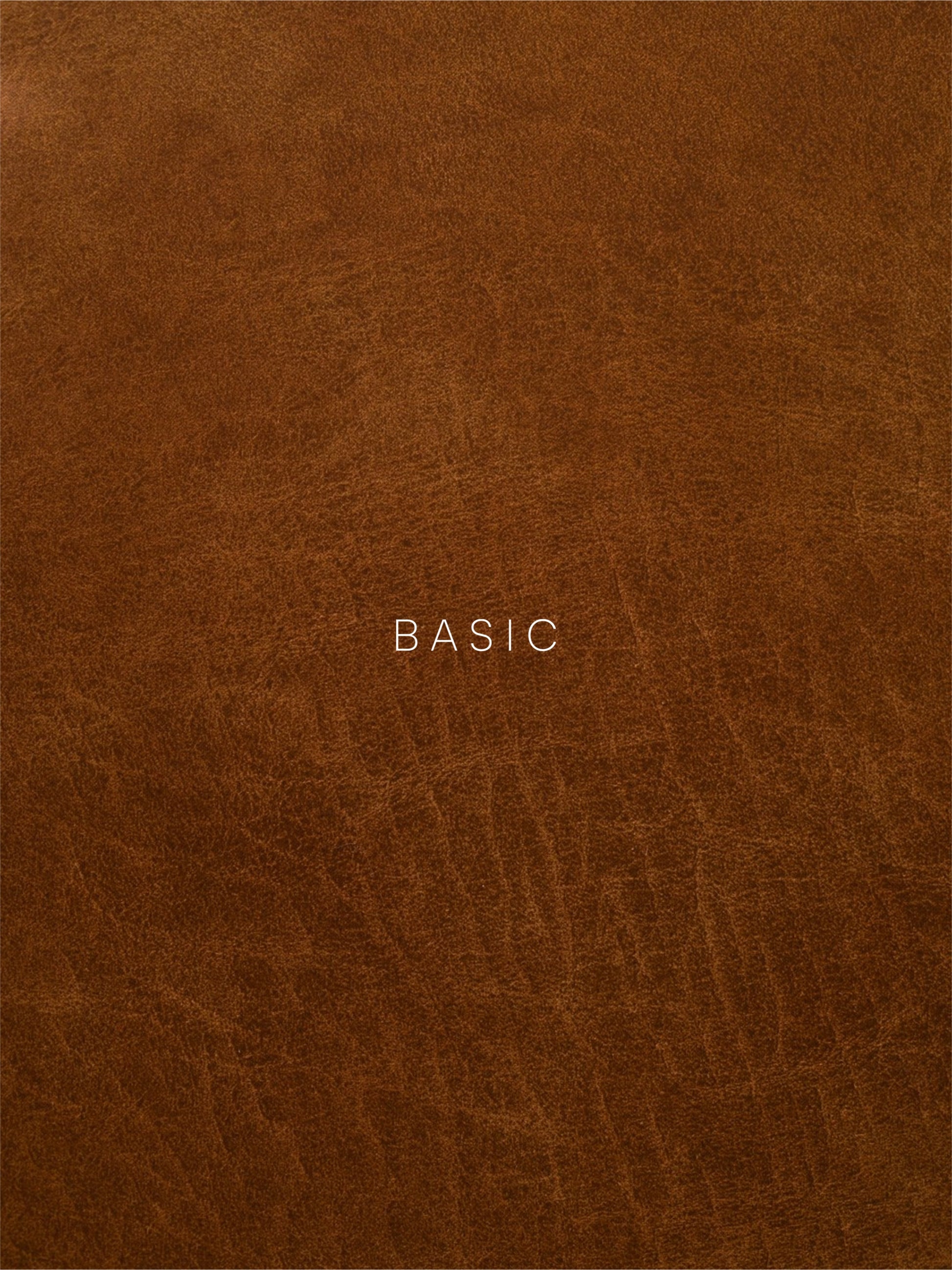 BASIC